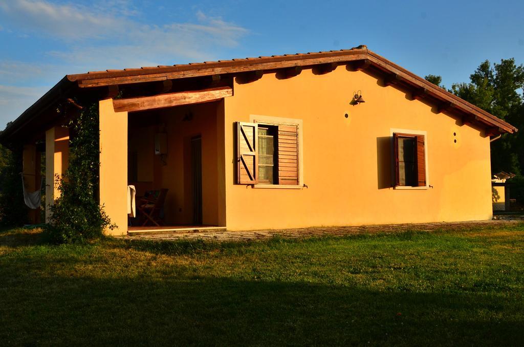 Agriturismo Terre Di Musignano Canino الغرفة الصورة