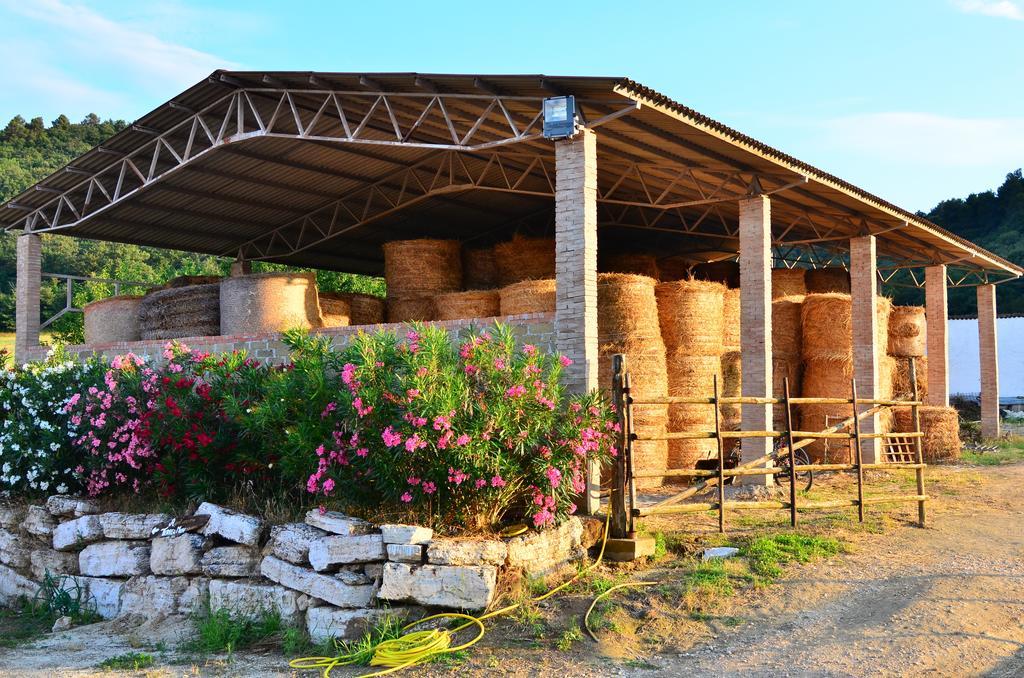 Agriturismo Terre Di Musignano Canino الغرفة الصورة