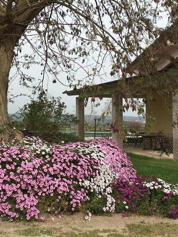 Agriturismo Terre Di Musignano Canino المظهر الخارجي الصورة