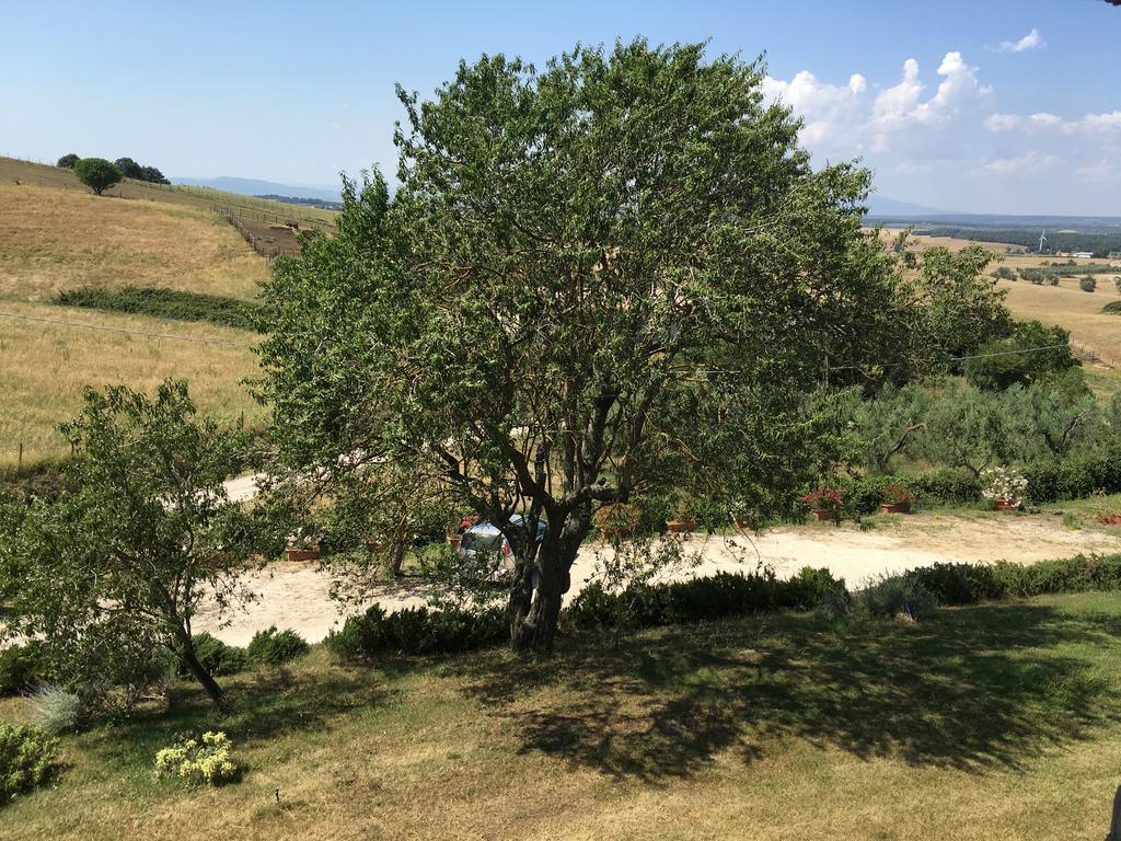 Agriturismo Terre Di Musignano Canino المظهر الخارجي الصورة