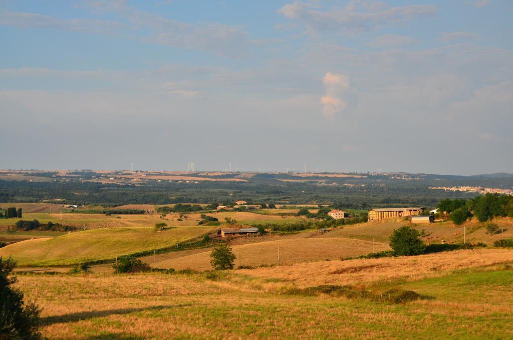 Agriturismo Terre Di Musignano Canino المظهر الخارجي الصورة
